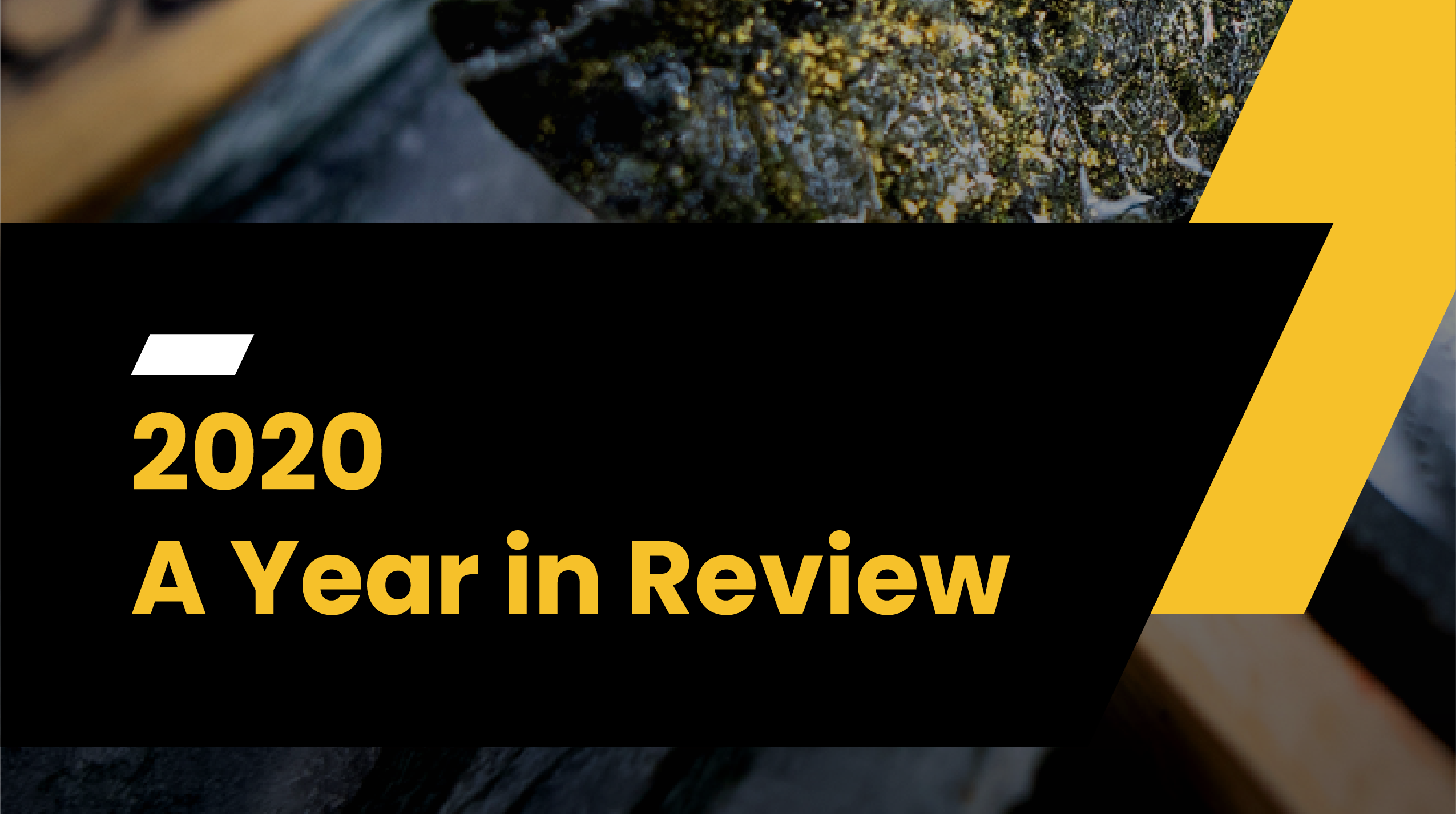 2020 – A Year in Review